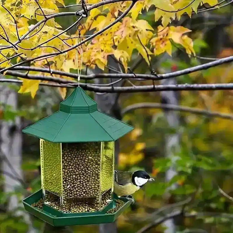 Comedouro Para Pássaros Livres Premium Bird Feeder