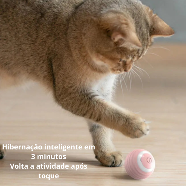 Bolinha Interativa para Gatos