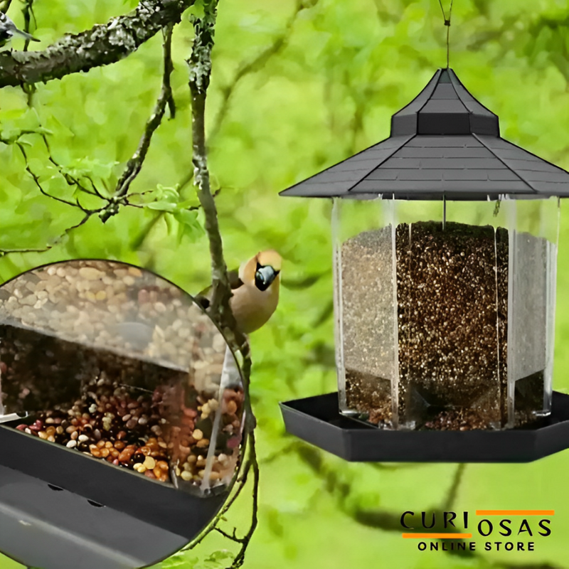 Comedouro Para Pássaros Livres Premium Bird Feeder